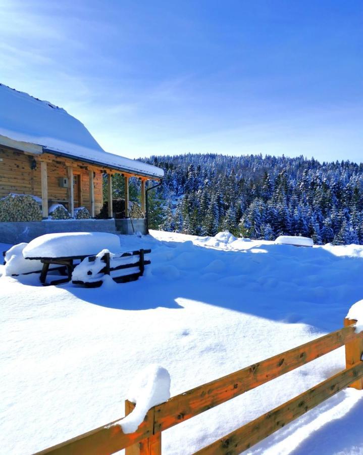 Brvnara Tara Villa Bajina Basta Exteriör bild
