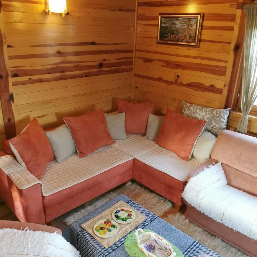 Brvnara Tara Villa Bajina Basta Exteriör bild