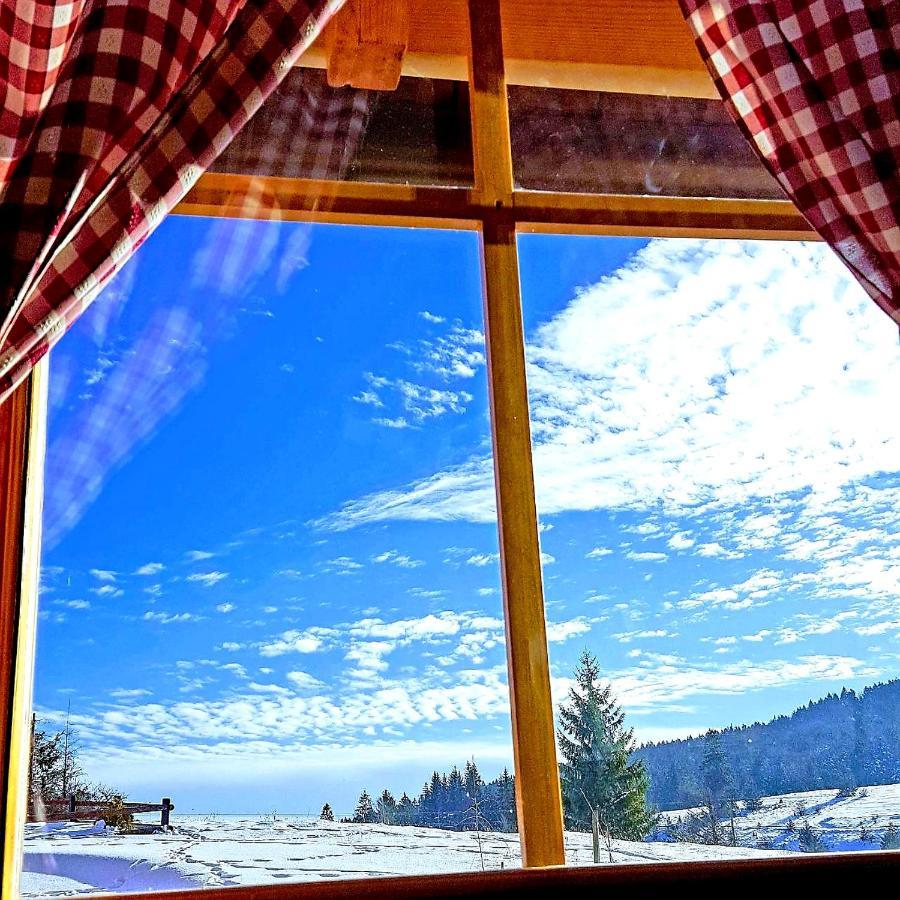 Brvnara Tara Villa Bajina Basta Exteriör bild